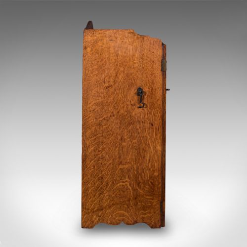 ANTIQUE ESTATE GAMEKEEPER'S CABINET SCOTTISH OAK CLERK'S CUPBOARD VICTORIAN - ADDITIONAL PHOTO 4