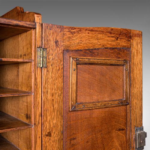 ANTIQUE ESTATE GAMEKEEPER'S CABINET SCOTTISH OAK CLERK'S CUPBOARD VICTORIAN - ADDITIONAL PHOTO 10