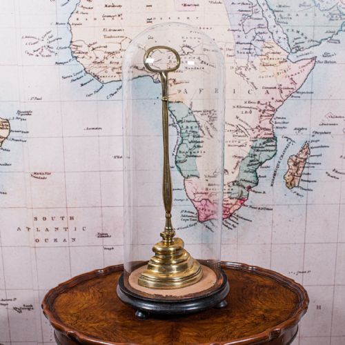 TALL ANTIQUE DISPLAY DOME ENGLISH GLASS TAXIDERMY SHOWCASE EDWARDIAN C1905 - ADDITIONAL PHOTO 2