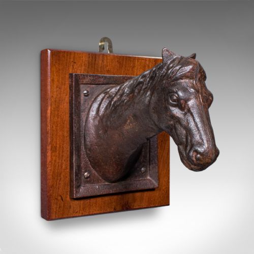 Antique Mounted Horse Bust, English, Iron, Coat Hook, Equestrian Tack, Edwardian