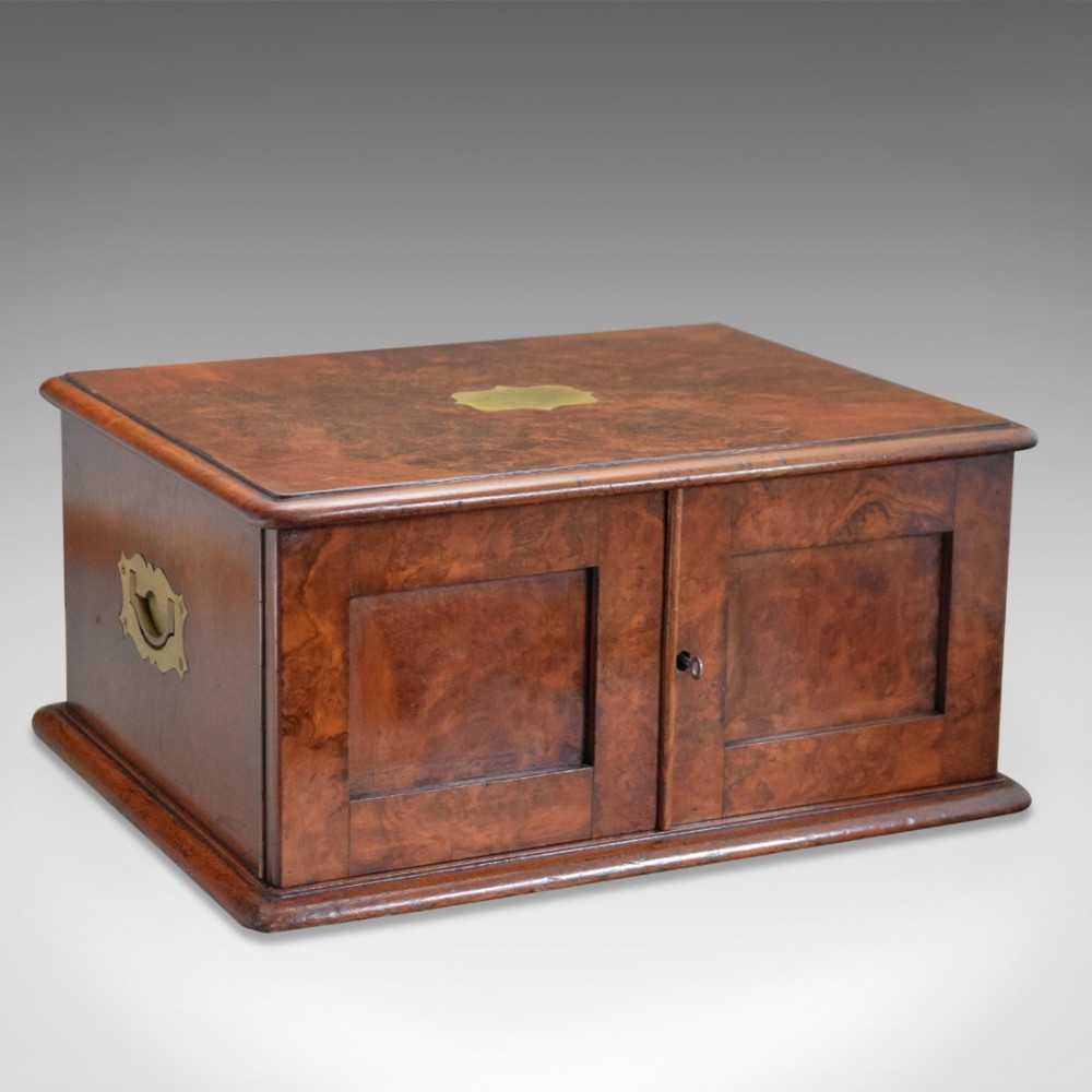 Antique Collectors Chest, Victorian Specimen Cabinet