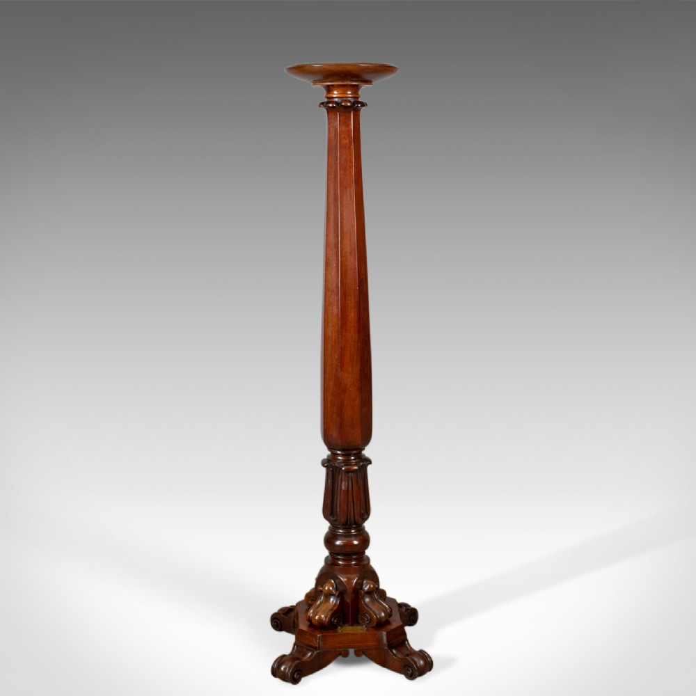 Antique Torchere, English, William IV, Plant Stand, Mahogany, Circa 1835