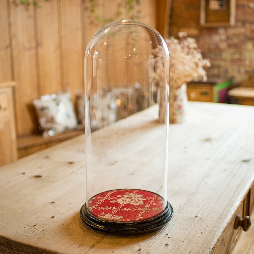 A tall clear glass display dome resting on a circular dark ebonised wooden base lined with red patterned fabric.