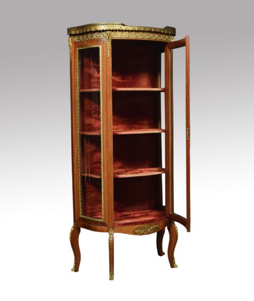 PAIR OF LATE 19TH CENTURY SINGLE DOOR DISPLAY CABINETS - ADDITIONAL PHOTO 1