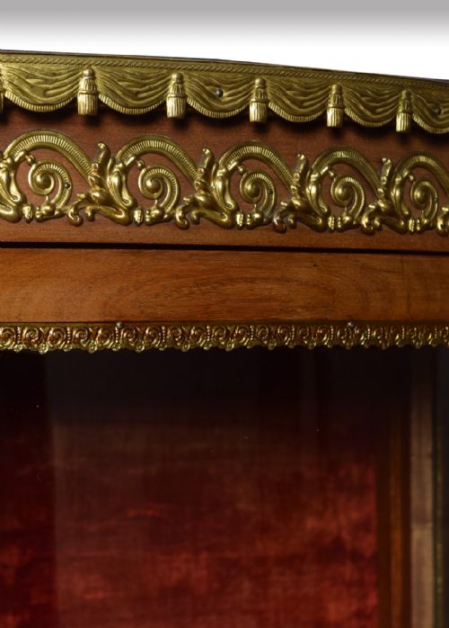 PAIR OF LATE 19TH CENTURY SINGLE DOOR DISPLAY CABINETS - ADDITIONAL PHOTO 3