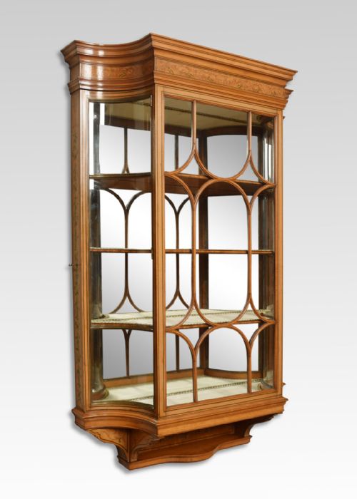 LARGE PAINTED SATINWOOD WALL HANGING DISPLAY CABINET - ADDITIONAL PHOTO 1