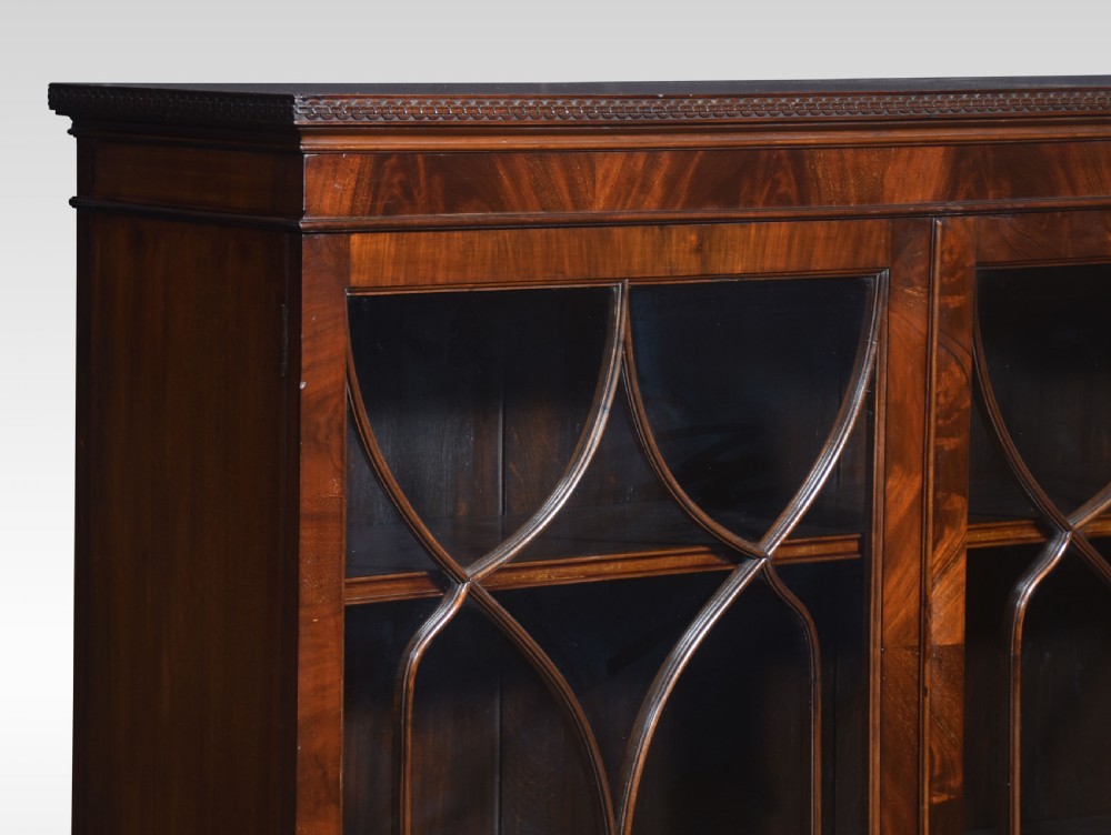 Mahogany two door glazed bookcase View VII