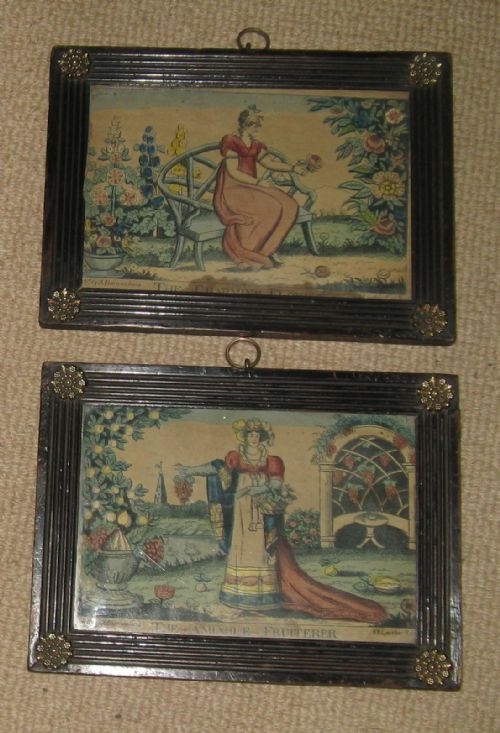 Pair of Framed Regency Coloured Garden Prints by A. Barnasehina London Circa 1820