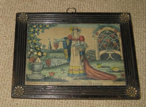 fig 1. PAIR OF FRAMED REGENCY COLOURED GARDEN PRINTS by A. BARNASEHINA LONDON circa 1820