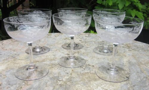 Set of Six Antique Etched Fern Champagne Saucers Circa 1910