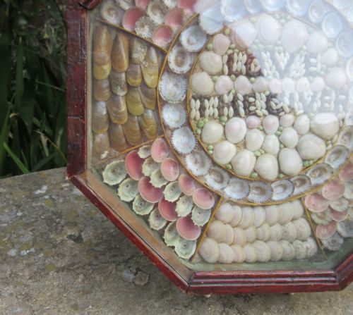 fig 1. SAILOR'S VALENTINE SHELL PICTURE c1880