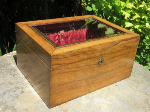 Antique Glass Topped Display Box C1860