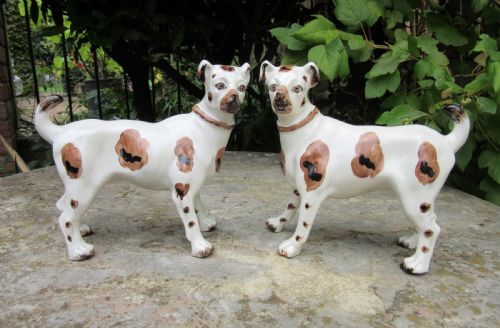 Rare Pair of Victorian Staffordshire Dogs Terriers C1870