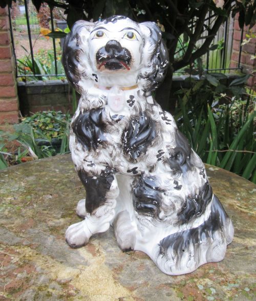 Rare Large Staffordshire Black and White Dog C1850