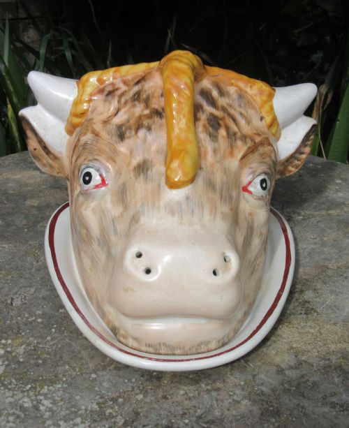 Rare Staffordshire Cow's Head Cheese Dish C1860