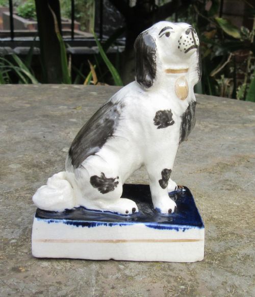 Antique Staffordshire Seated Black & White Dog C1840