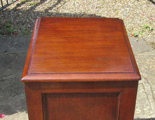 EARLY 19THC MAHOGANY PEDESTAL CUPBOARD - ADDITIONAL PHOTO 1