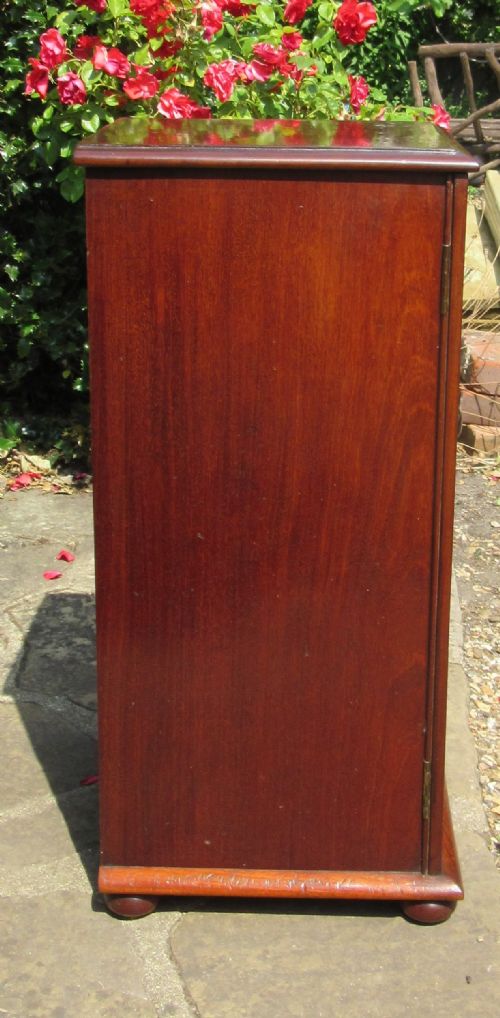 EARLY 19THC MAHOGANY PEDESTAL CUPBOARD - ADDITIONAL PHOTO 2