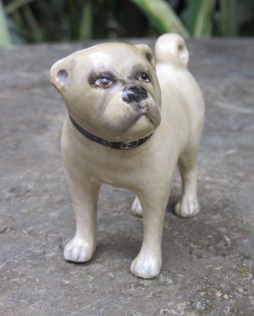 Sampson Hancock Derby Porcelain Pug Dog