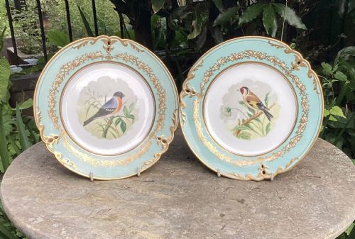 Pair Samuel Alcock Porcelain Bird Plates C1860