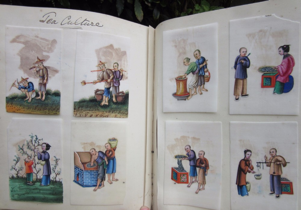 ALBUM OF 48 CHINESE RICE PAPER PAINTINGS View IX