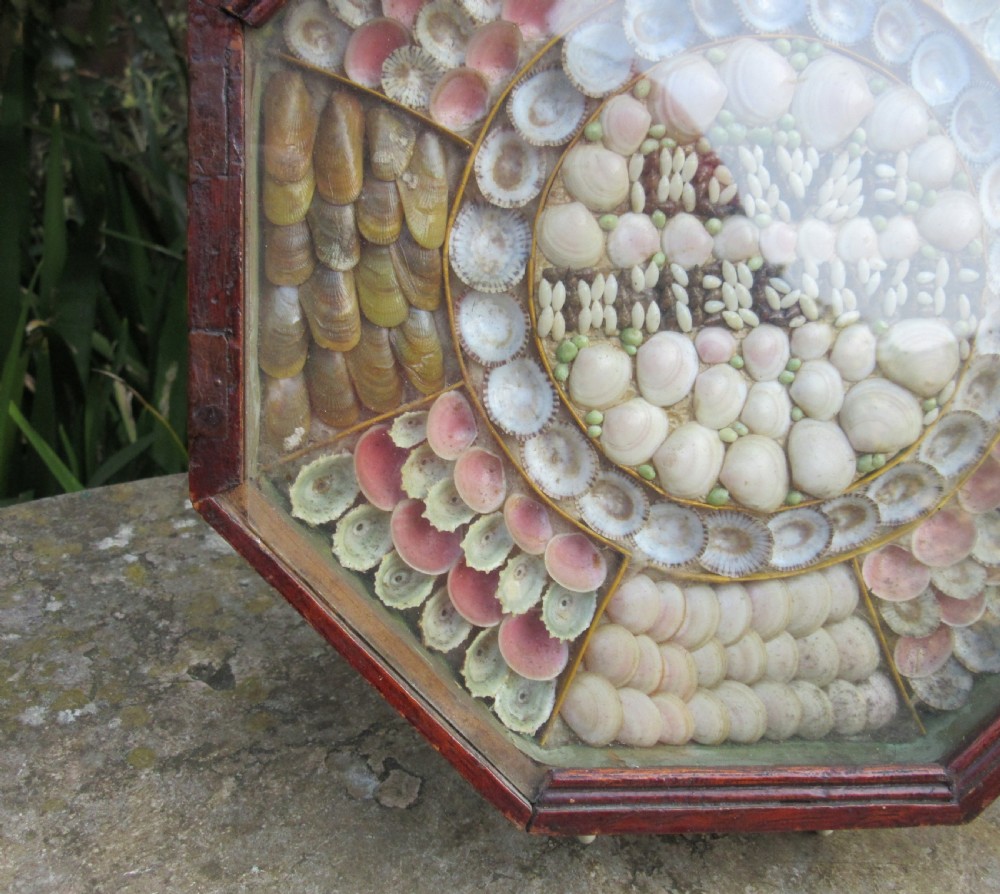 SAILOR'S VALENTINE SHELL PICTURE c1880 View II
