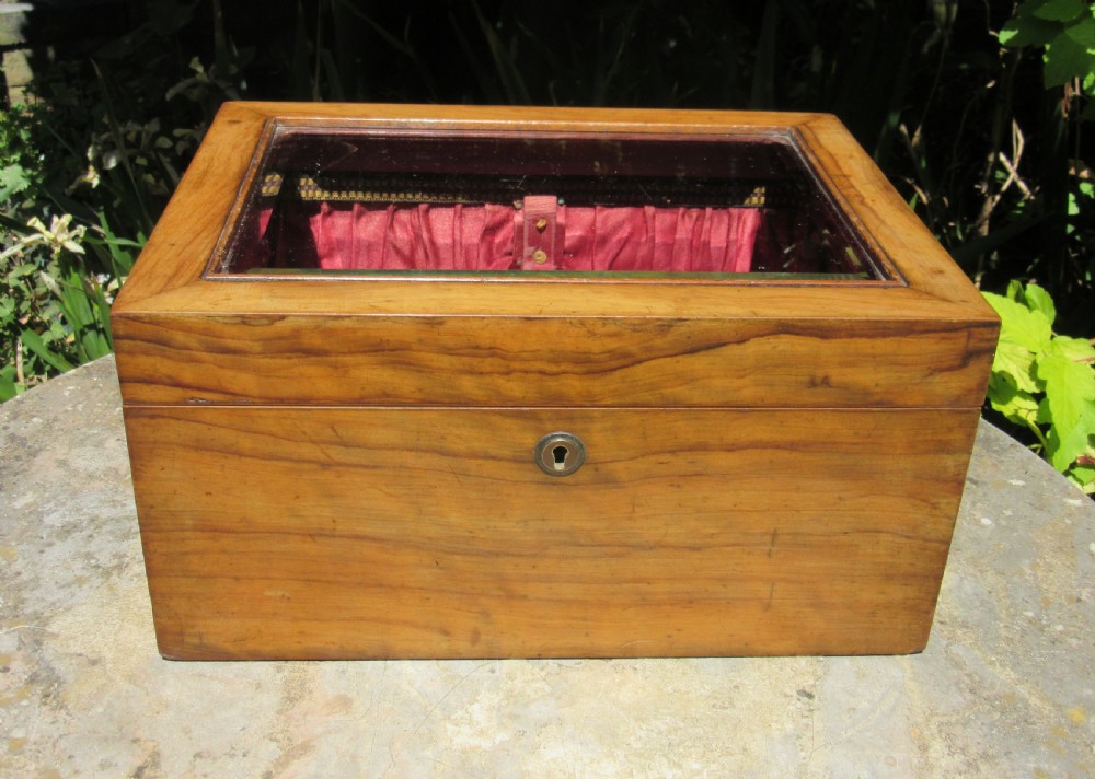 ANTIQUE GLASS TOPPED DISPLAY BOX c1860 View II