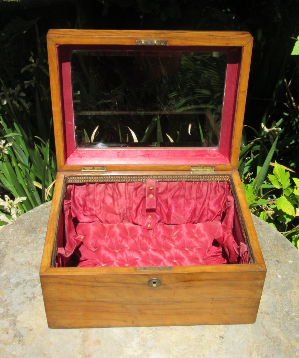 ANTIQUE GLASS TOPPED DISPLAY BOX c1860 View III