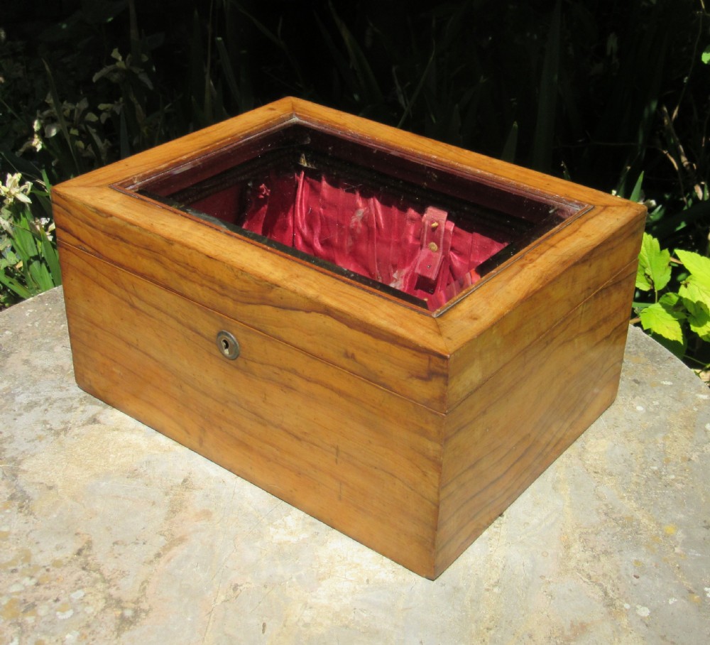 ANTIQUE GLASS TOPPED DISPLAY BOX c1860 View IV