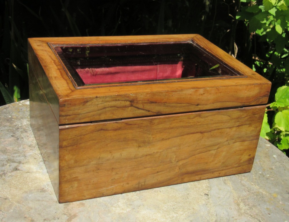 ANTIQUE GLASS TOPPED DISPLAY BOX c1860 View V