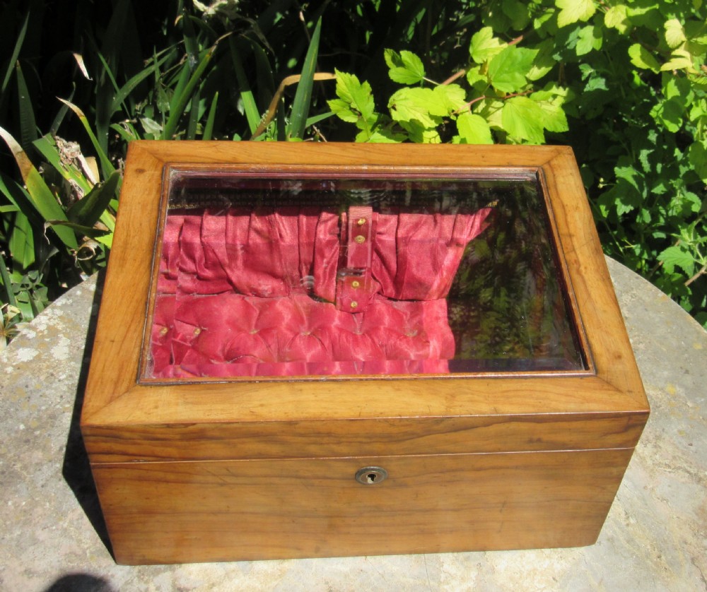 ANTIQUE GLASS TOPPED DISPLAY BOX c1860 View VI