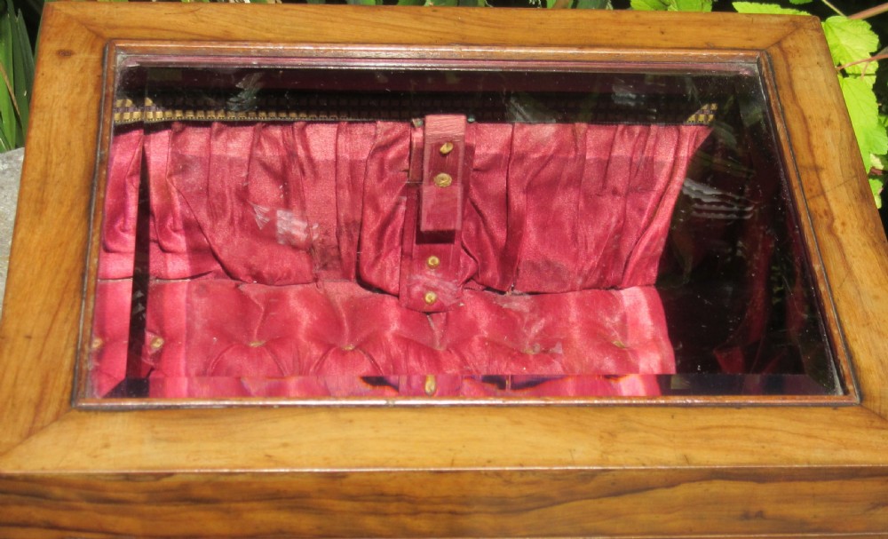 ANTIQUE GLASS TOPPED DISPLAY BOX c1860 View VII