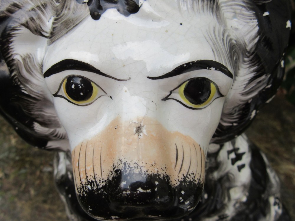RARE LARGE STAFFORDSHIRE BLACK AND WHITE DOG c1850 View III