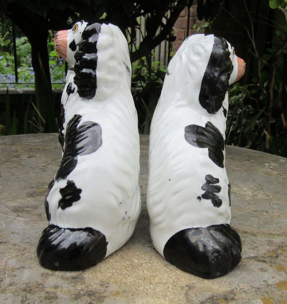 PAIR OF VICTORIAN BLACK & WHITE STAFFORDSHIRE DOGS  View IV