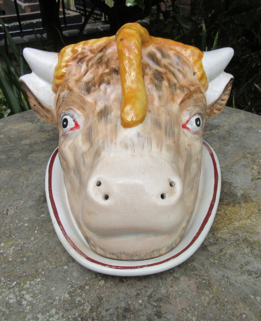 RARE STAFFORDSHIRE COW'S HEAD CHEESE DISH c1860 View VI