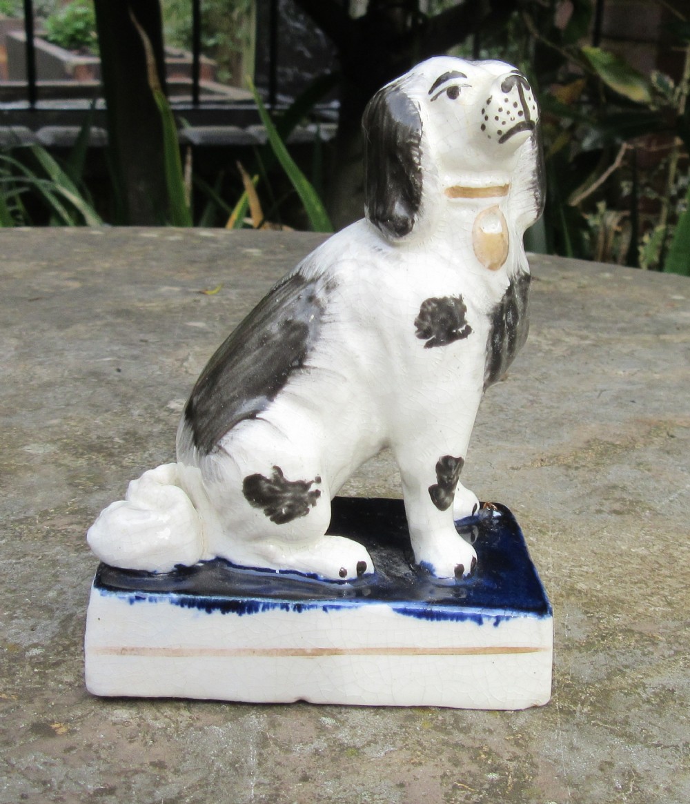 ANTIQUE STAFFORDSHIRE SEATED BLACK & WHITE DOG c1840