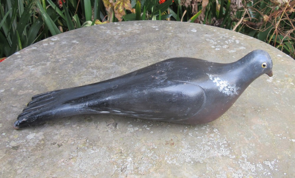 ORIGINAL ENGLISH WOODEN DECOY PIGEON c1900