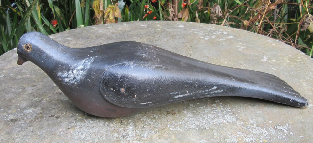 ORIGINAL ENGLISH WOODEN DECOY PIGEON c1900 View VI