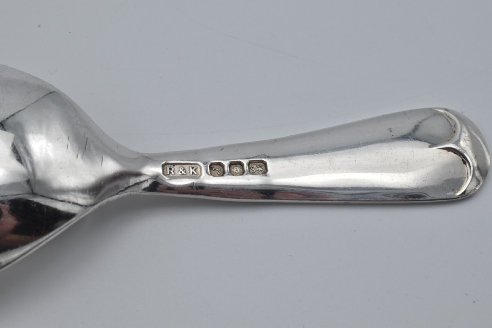 A plain sterling silver caddy spoon with a wide oval bowl and a smooth, unadorned handle resting on a neutral grey background. View III