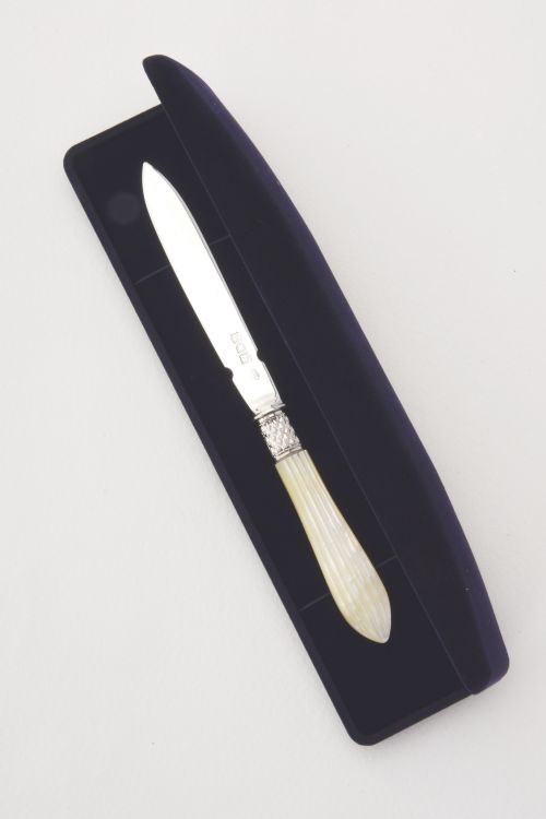fig 2. Edwardian Silver Letter Opener with Mother of Pearl Handle 1902