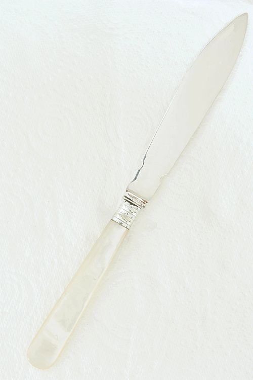 fig 1. Silver Letter Opener with Mother of Pearl Handle 1911
