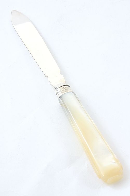 fig 2. William IV Silver Letter Opener with Mother of Pearl Handle 1830