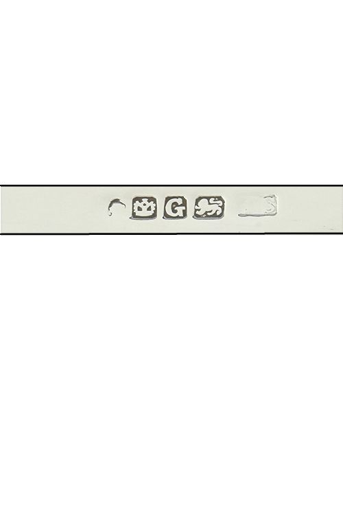 fig 3. Solid Silver Letter Opener with Mother of Pearl Handle 1874