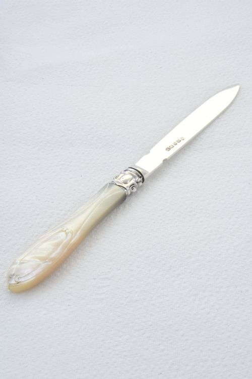 fig 1. Solid Silver Letter Opener with Mother of Pearl Handle 1856
