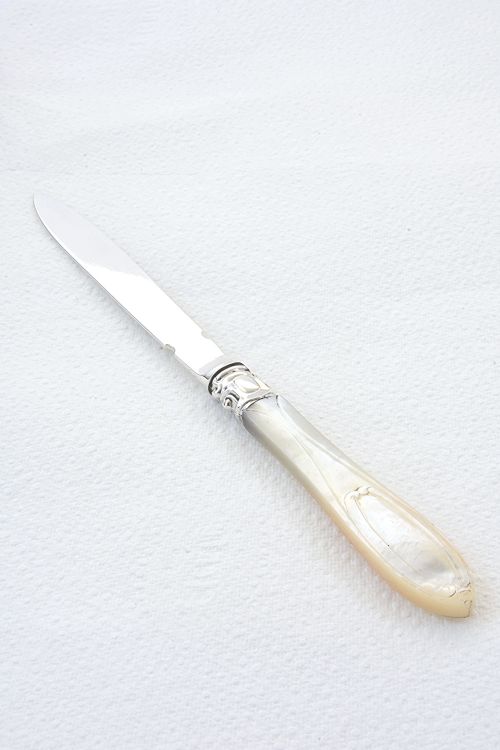 fig 2. Solid Silver Letter Opener with Mother of Pearl Handle 1856