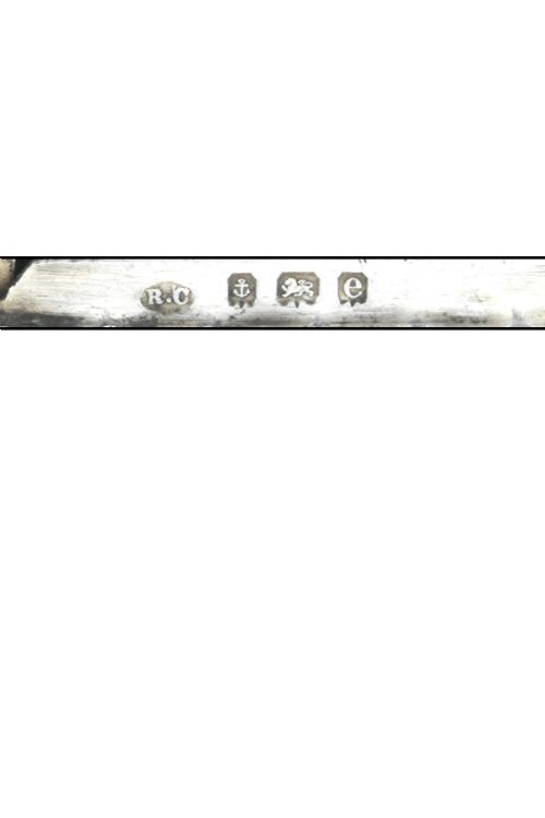 fig 4. Rare Edwardian Silver Vesta Case 1904