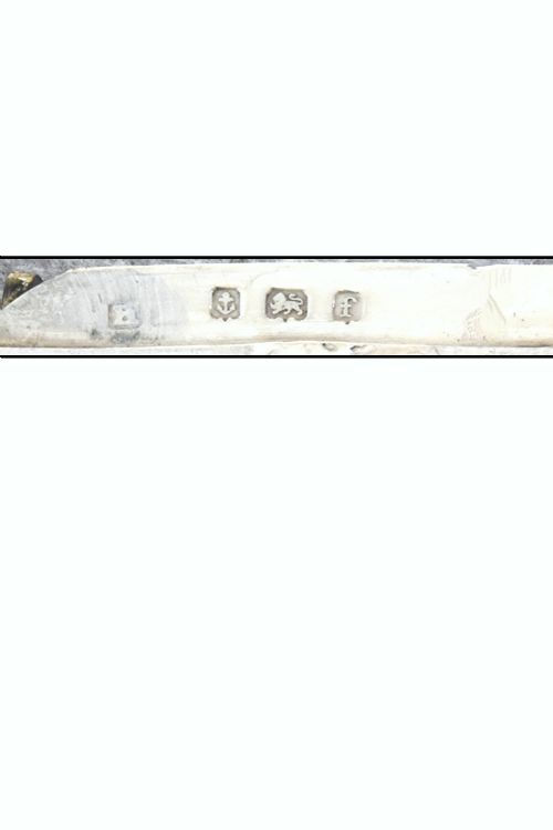 fig 4. Edwardian Silver Vesta Case 1905