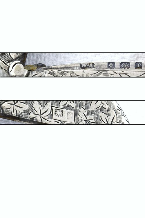 fig 4. Round Silver Edwardian Vesta Case 1905