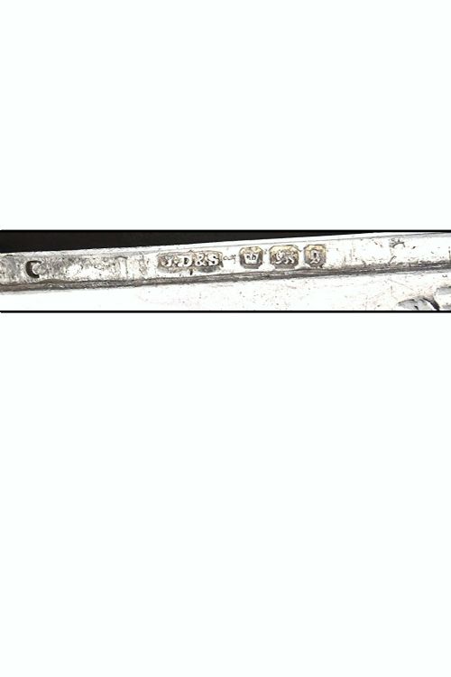 fig 4. Victorian Silver Vesta Case 1899