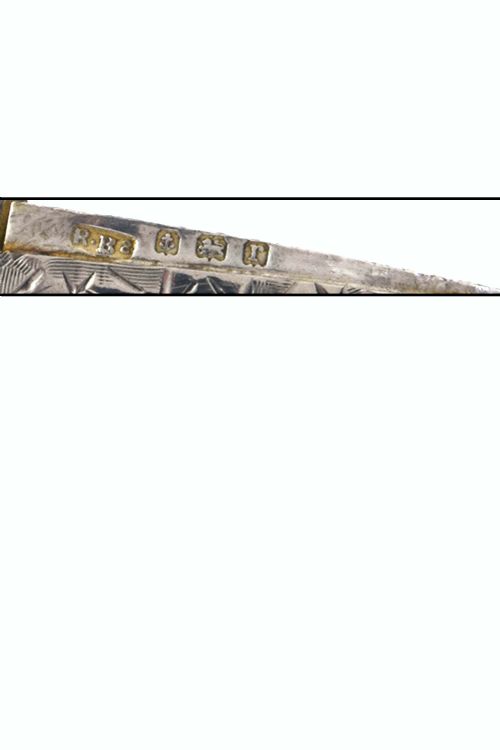 fig 3. George V Silver & Gold Vesta Case 1916